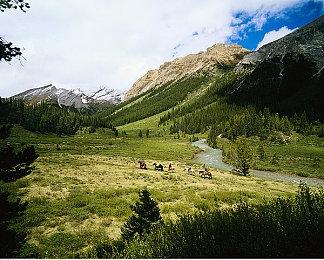 《原神》3.0版本上线：新区域须弥开放 600原石补偿